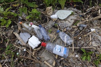 Symbolic image Environmental pollution, plastic waste, rubbish, flotsam from a flood on the Neckar