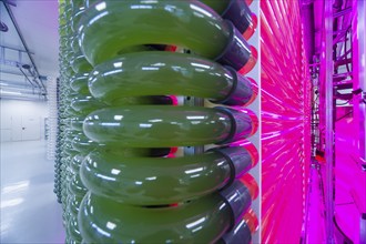 PUEVIT GmbH produces the most efficient photobioreactors for the cultivation of microalgae. The aim