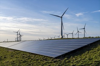 Solar park on the Slaperdijk dyke near the Eemshaven, test project, 17, 000 solar modules were