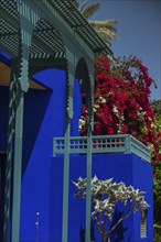 Majorelle Garden, botany, cactus, cacti, bougainvillea, flora, plant, botany, tropical, climate,