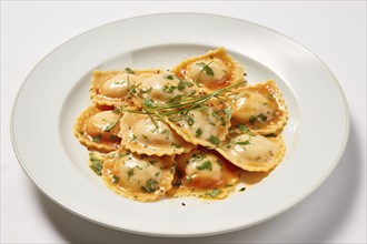 Plate with ravioli meal. KI generiert, generiert AI generated