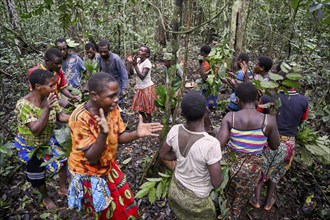 Pygmies of the Baka or BaAka people dancing, Dzanga-Sangha Special Dense Forest Reserve,