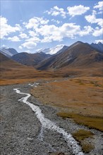 Burkhan valley with river, mountain landscape with glaciated peaks and golden meadows, Terskey