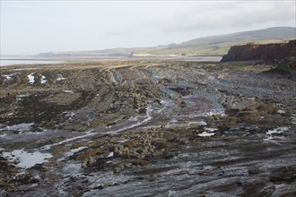 Rocky wave cut platform exposed at low tide, Watchet, Somerset, England, United Kingdom, Europe