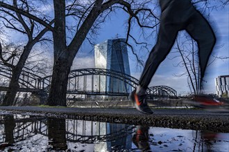 Building of the European Central Bank, ECB, Uferweg am Main in Frankfurt, Hesse, Germany, Europe