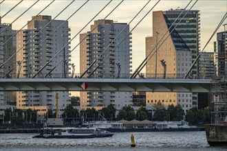 The Erasmus Bridge, over the Nieuwe Maas, building on the Boompjeskade, Waterbus, Rotterdam,