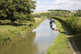 Narrowboats on the Kennet and Avon canal near Crofton, Wiltshire, England, UK