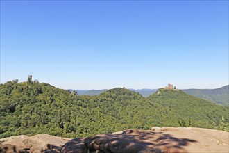 Viewing plateau in the Palatinate Forest with views of the Münz, Anebos and Trifels castles above