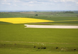 Chalk upland summer farming landscape on the Marlborough Downs, near Beckhampton, Wiltshire,