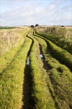 The Ridgeway long distance footpath dating from prehistory near its start on Overton Hill,