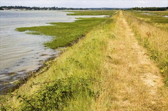 Summer landscape flood defence river wall path on River Deben tidal estuary, Sutton, Suffolk,