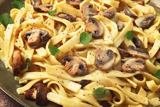 Fettuccine with champignons, basil, in cream sauce, homemade, no people