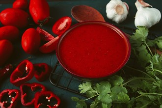 Tomato sauce, tomatoes and sweet pepper, Georgian Satsebeli sauce, with ingredients on a dark