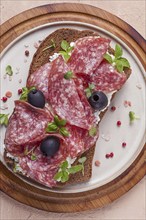 Sandwich, grain bread, with cream cheese and salami, black olives, micro-greens, top view,