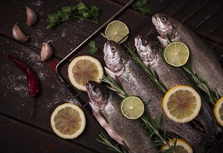 Raw rainbow trout, with lemon and herbs, on a wooden table, no people