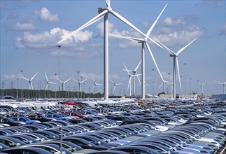 Storage area for new cars in the port of Vlissingen-Oost, vehicles are temporarily stored on over