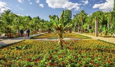 Palm garden in the spa gardens, the largest outdoor palm garden north of the Alps, spa town of Bad