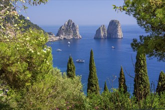 South coast with the Faraglioni rocks, the island's landmarks, Capri, Campanian Archipelago, Gulf