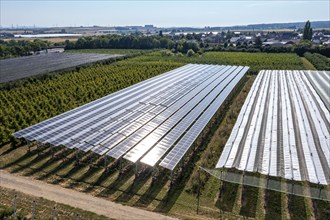 Agri-photovoltaic test plant, an apple orchard with two different systems of PV modules was roofed