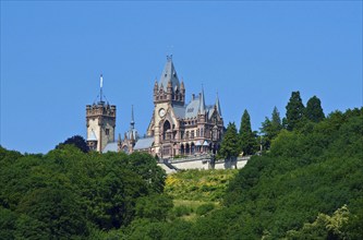 Europe, Germany, North Rhine-Westphalia, Königswinter am Drachenfels in the Siebengebirge nature