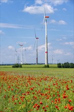 Wind farm, field with flower strips, insect-friendly border of fields with mixed flowers, poppies,