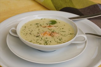 Southern German cuisine, sorrel soup with char, freshwater fish, soup served in soup bowl, herbs,