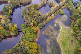 Mixed forest in autumn, colouring, aerial view, forest, autumnal, Ahlhroner Fischteiche,