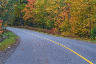 Road winds through an autumn forest with colourful foliage and a yellow centre line, Autumn,