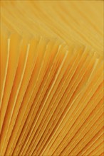 Close-up of a stack of yellow paper napkins