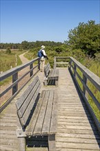 Viewing platform, benches, man, circular hiking trail, Darßer Ort, Born a. Darß,