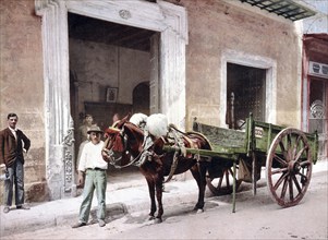 Mule cart in Habana, Havana, Cuba, around 1890, Historical, digitally restored reproduction from a