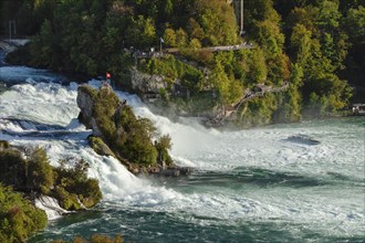 Rhine Falls of Schaffhausen, Neuhausen near Schaffhausen, Switzerland, Neuhausen, Canton of