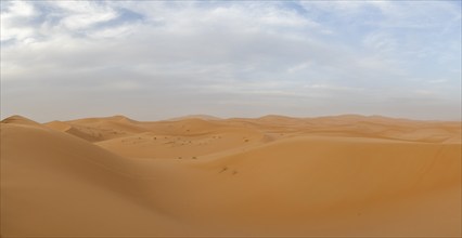 Dunes in the desert, Erg Chebbi, Sahara, Merzouga, Morocco, Africa