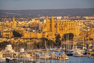 Panorama of Palma de Majorca, Bay of Palma, with the marina and the Cathedral of St Mary, Balearic