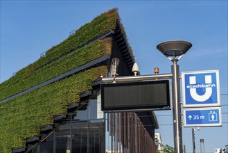 Largest green façade in Europe, on the Kö-Bogen II, building, shopping and office building on