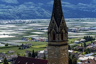 Apple-growing region and wine-growing, in the Adige Valley, South Tyrol, large areas under