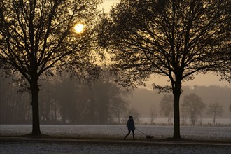 Winter walk with dog, near Dorsten, North Rhine-Westphalia, Germany, Europe