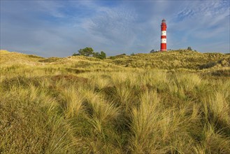 Amrum Island, landscape Germany, dune, dunes, grass, structure, shape, vegetation, lighthouse,