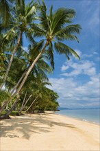 Palm beach on Koh Yao Noi, beach holiday, beach landscape, palm tree, sea, dream beach, dream