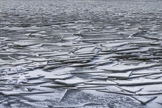 Ice floes, ice, frozen, ice surface, floes, winter, season, nature, water, texture, background,