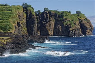 Rugged cliff formations jutting out into the blue sea, covered with vegetation under clear skies,