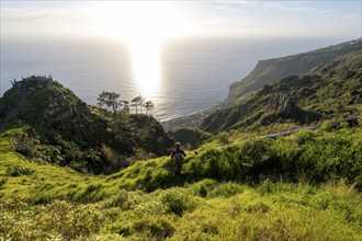 Young man looking out to sea on cliff, evening mood, green coastal landscape on cliff, sea and