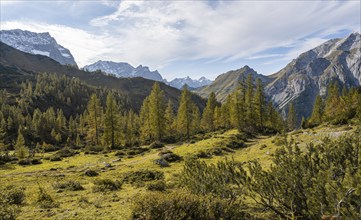 Mountain panorama with steep rocky peaks, yellow-coloured larches in autumn, hike to the summit of