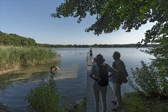 Bathing jetty on Lake Schaalsee, Zarrentin, Mecklenburg-Western Pomerania, Germany, Europe