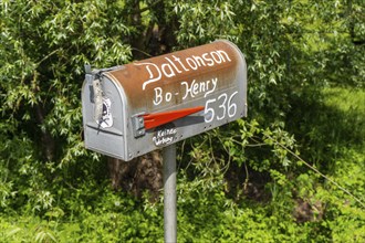 Letterbox, Dalton, Daltons, Daltonson, Bo-Henry, no advertising, American