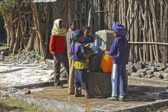 Europia district, children fetching water at the well, in Debre Lebanon, Ethiopia, Africa