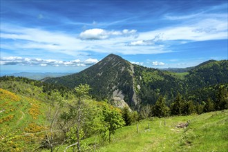 Scenic View of Dome-Shaped Volcanic Peaks (Sucs) in the Monts d'Ardeche Regional Natural Park.