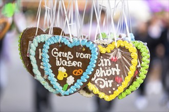 Gingerbread hearts decorated with colourful icing with the inscription 'Gruß vom Wasen',