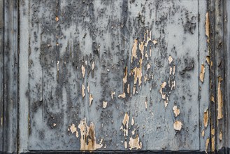 Peeling texture, wooden door, pattern, background, grey, colour, wilted