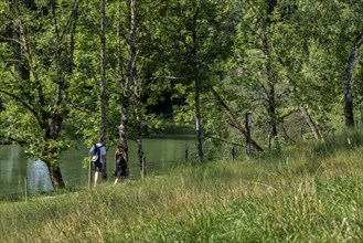 Cyclists and hikers on a circular route on Lake Tegernsee, Bavaria, Germany, Europe